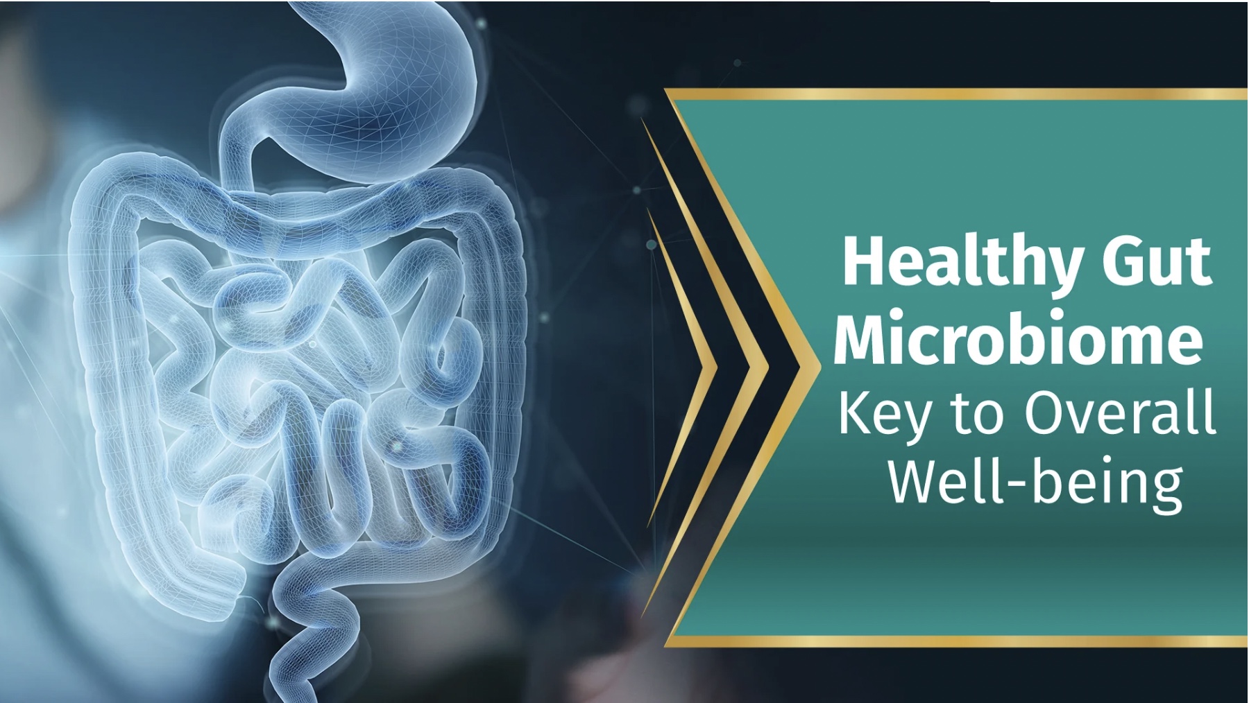 Unlocking Weight Loss Secrets: Beyond Ozempic to Gut Microbiome Health